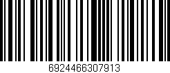 Código de barras (EAN, GTIN, SKU, ISBN): '6924466307913'