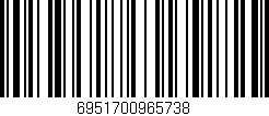 Código de barras (EAN, GTIN, SKU, ISBN): '6951700965738'