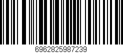 Código de barras (EAN, GTIN, SKU, ISBN): '6962825987239'