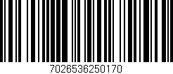 Código de barras (EAN, GTIN, SKU, ISBN): '7026536250170'