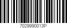 Código de barras (EAN, GTIN, SKU, ISBN): '7029990013P'