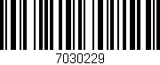 Código de barras (EAN, GTIN, SKU, ISBN): '7030229'