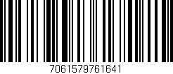 Código de barras (EAN, GTIN, SKU, ISBN): '7061579761641'
