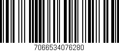 Código de barras (EAN, GTIN, SKU, ISBN): '7066534076280'
