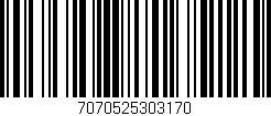 Código de barras (EAN, GTIN, SKU, ISBN): '7070525303170'