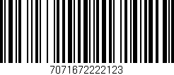 Código de barras (EAN, GTIN, SKU, ISBN): '7071672222123'