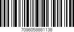 Código de barras (EAN, GTIN, SKU, ISBN): '7096058881138'