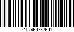 Código de barras (EAN, GTIN, SKU, ISBN): '7107463757601'