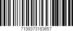 Código de barras (EAN, GTIN, SKU, ISBN): '7109373163657'