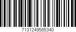 Código de barras (EAN, GTIN, SKU, ISBN): '7131249565340'