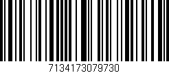 Código de barras (EAN, GTIN, SKU, ISBN): '7134173079730'