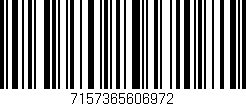 Código de barras (EAN, GTIN, SKU, ISBN): '7157365606972'