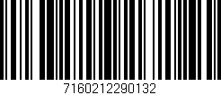 Código de barras (EAN, GTIN, SKU, ISBN): '7160212290132'