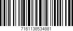 Código de barras (EAN, GTIN, SKU, ISBN): '7161138534881'