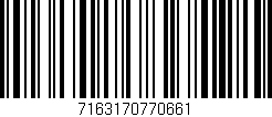 Código de barras (EAN, GTIN, SKU, ISBN): '7163170770661'