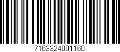 Código de barras (EAN, GTIN, SKU, ISBN): '7163324001160'