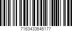Código de barras (EAN, GTIN, SKU, ISBN): '7163433646177'