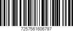 Código de barras (EAN, GTIN, SKU, ISBN): '7257561606797'