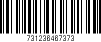 Código de barras (EAN, GTIN, SKU, ISBN): '731236467373'