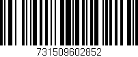 Código de barras (EAN, GTIN, SKU, ISBN): '731509602852'