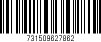 Código de barras (EAN, GTIN, SKU, ISBN): '731509627862'