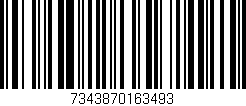 Código de barras (EAN, GTIN, SKU, ISBN): '7343870163493'