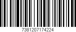 Código de barras (EAN, GTIN, SKU, ISBN): '7381207174224'