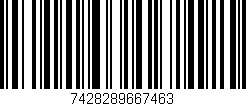 Código de barras (EAN, GTIN, SKU, ISBN): '7428289667463'