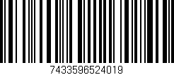 Código de barras (EAN, GTIN, SKU, ISBN): '7433596524019'