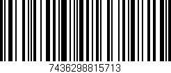 Código de barras (EAN, GTIN, SKU, ISBN): '7436298815713'