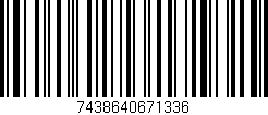 Código de barras (EAN, GTIN, SKU, ISBN): '7438640671336'