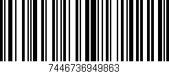 Código de barras (EAN, GTIN, SKU, ISBN): '7446736949863'