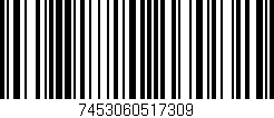 Código de barras (EAN, GTIN, SKU, ISBN): '7453060517309'