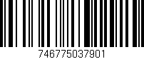 Código de barras (EAN, GTIN, SKU, ISBN): '746775037901'