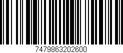 Código de barras (EAN, GTIN, SKU, ISBN): '7479863202600'