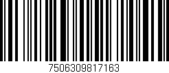 Código de barras (EAN, GTIN, SKU, ISBN): '7506309817163'