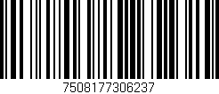 Código de barras (EAN, GTIN, SKU, ISBN): '7508177306237'