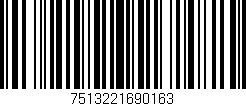 Código de barras (EAN, GTIN, SKU, ISBN): '7513221690163'