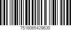 Código de barras (EAN, GTIN, SKU, ISBN): '7516065429630'