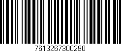 Código de barras (EAN, GTIN, SKU, ISBN): '7613267300290'