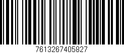 Código de barras (EAN, GTIN, SKU, ISBN): '7613267405827'