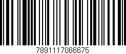 Código de barras (EAN, GTIN, SKU, ISBN): '7891117066675'