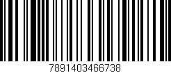 Código de barras (EAN, GTIN, SKU, ISBN): '7891403466738'
