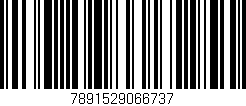 Código de barras (EAN, GTIN, SKU, ISBN): '7891529066737'
