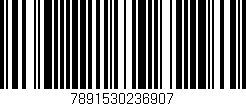 Código de barras (EAN, GTIN, SKU, ISBN): '7891530236907'