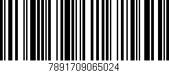 Código de barras (EAN, GTIN, SKU, ISBN): '7891709065024'
