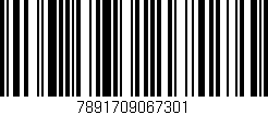 Código de barras (EAN, GTIN, SKU, ISBN): '7891709067301'