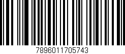 Código de barras (EAN, GTIN, SKU, ISBN): '7896011705743'
