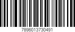 Código de barras (EAN, GTIN, SKU, ISBN): '7896013730491'