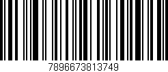 Código de barras (EAN, GTIN, SKU, ISBN): '7896673813749'